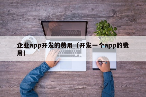 企业app开发的费用（开发一个app的费用）