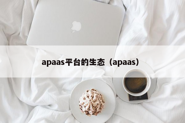 apaas平台的生态（apaas）