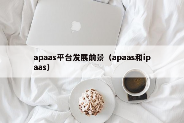 apaas平台发展前景（apaas和ipaas）