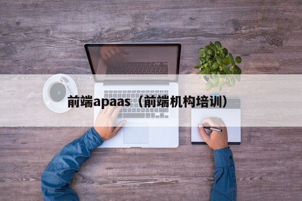 前端apaas（前端机构培训）