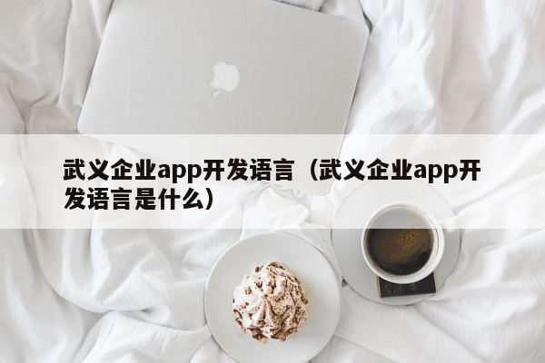 武义企业app开发语言（武义企业app开发语言是什么）