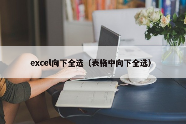 excel向下全选（表格中向下全选）