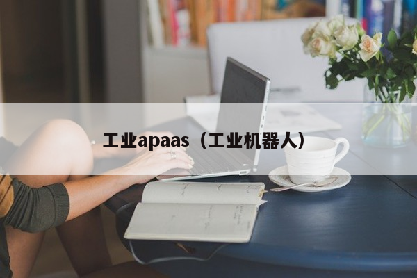 工业apaas（工业机器人）