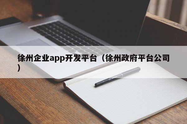 徐州企业app开发平台（徐州政府平台公司）