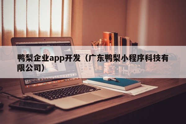 鸭梨企业app开发（广东鸭梨小程序科技有限公司）