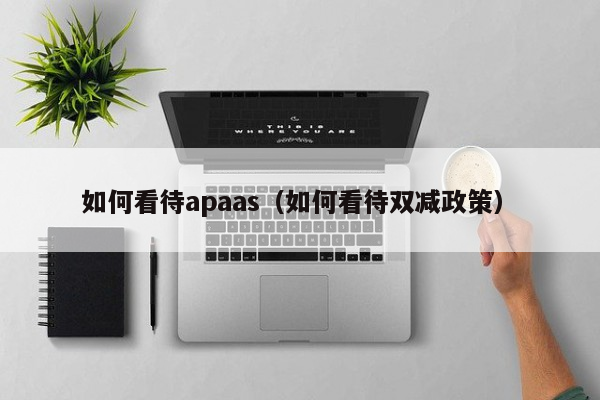 如何看待apaas（如何看待双减政策）