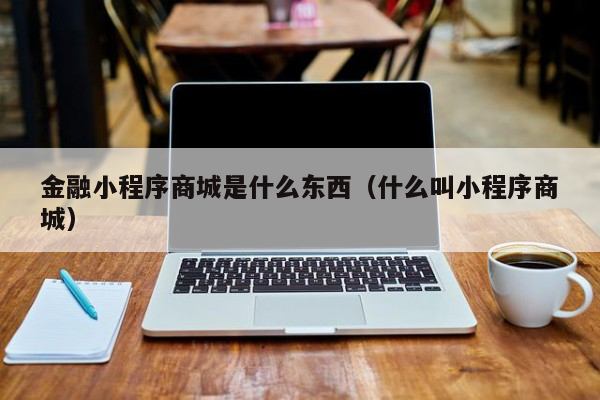 金融小程序商城是什么东西（什么叫小程序商城）