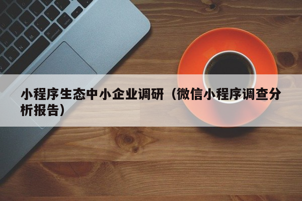 小程序生态中小企业调研（微信小程序调查分析报告）