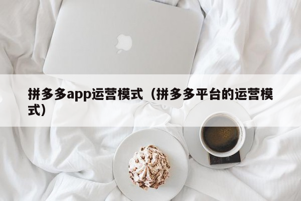 拼多多app运营模式（拼多多平台的运营模式）