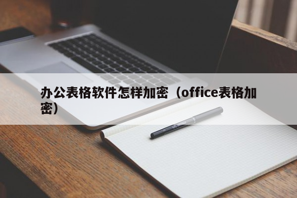 办公表格软件怎样加密（office表格加密）