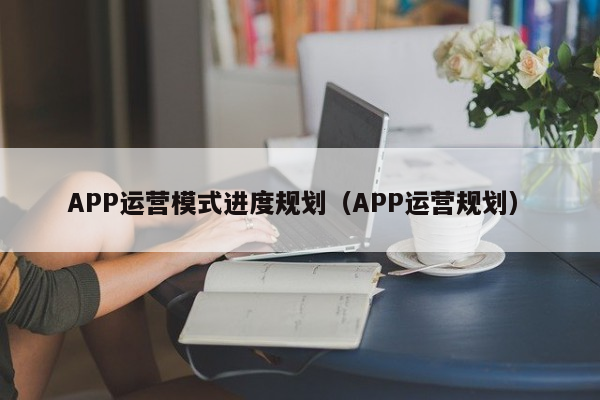 APP运营模式进度规划（APP运营规划）