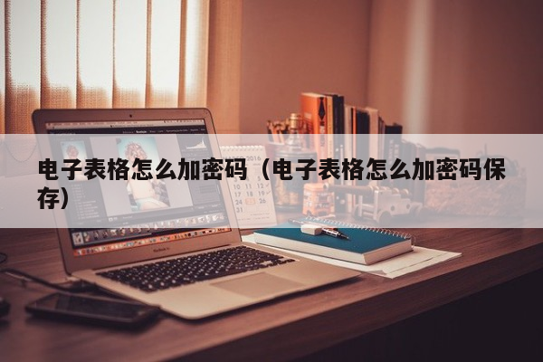 电子表格怎么加密码（电子表格怎么加密码保存）