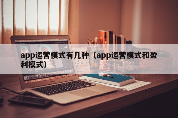 app运营模式有几种（app运营模式和盈利模式）