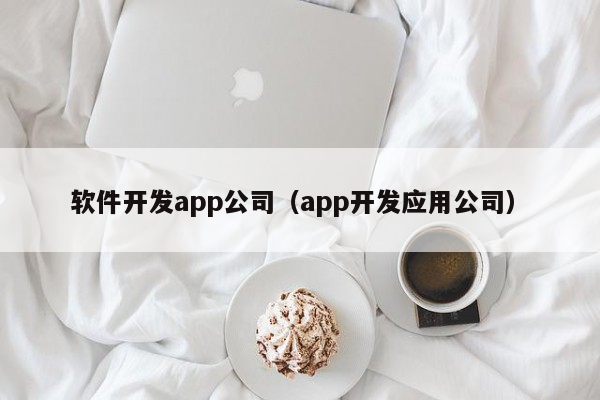 软件开发app公司（app开发应用公司）