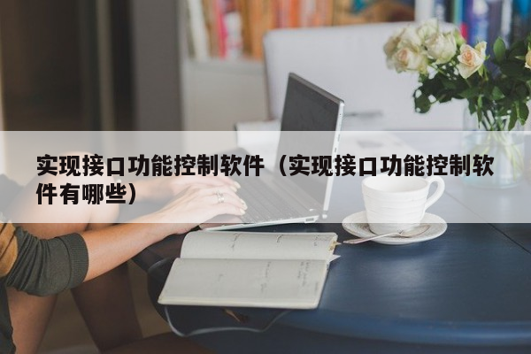 实现接口功能控制软件（实现接口功能控制软件有哪些）