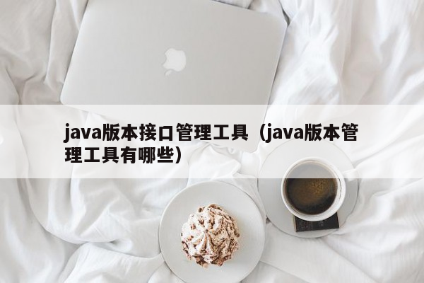 java版本接口管理工具（java版本管理工具有哪些）