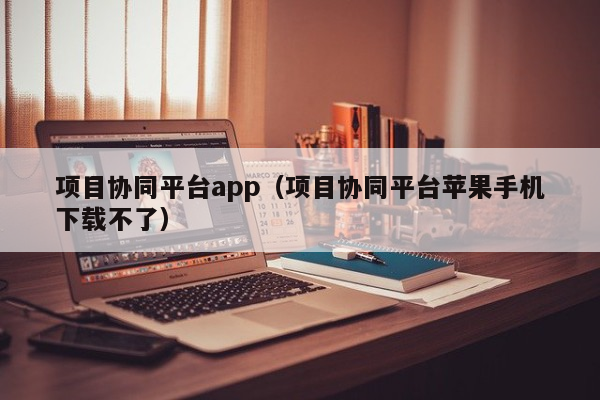 项目协同平台app（项目协同平台苹果手机下载不了）