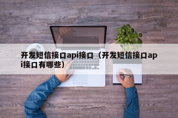 开发短信接口api接口（开发短信接口api接口有哪些）