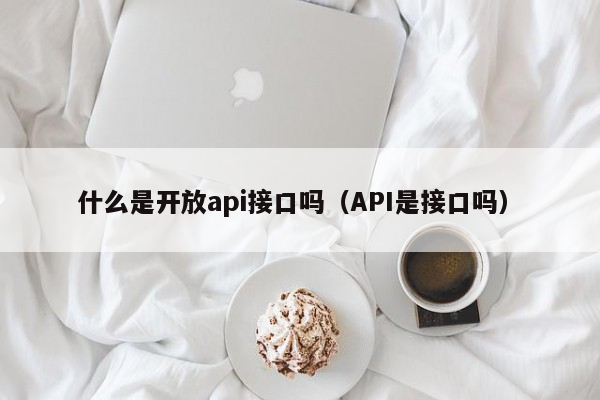 什么是开放api接口吗（API是接口吗）