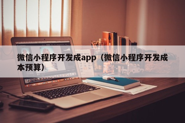 微信小程序开发成app（微信小程序开发成本预算）微信小程序 插件