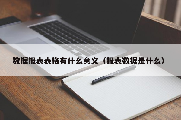 数据报表表格有什么意义（报表数据是什么）