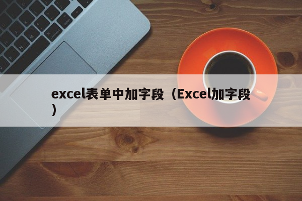 excel表单中加字段（Excel加字段）