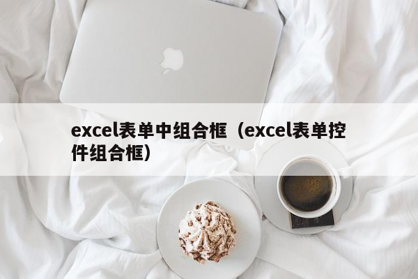 excel表单中组合框（excel表单控件组合框）