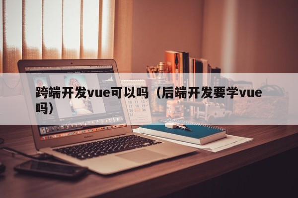 跨端开发vue可以吗（后端开发要学vue吗）