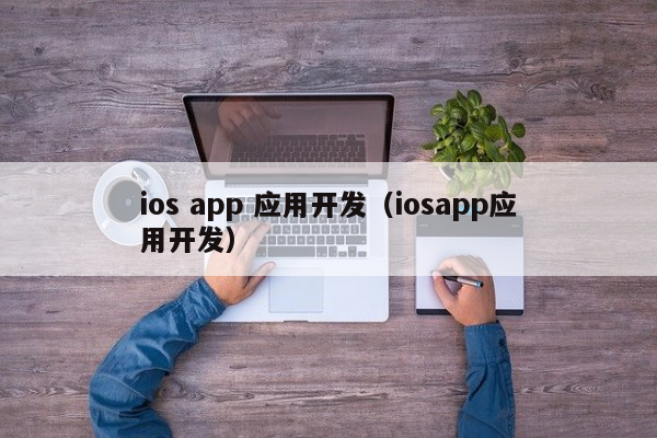 ios app 应用开发（iosapp应用开发）