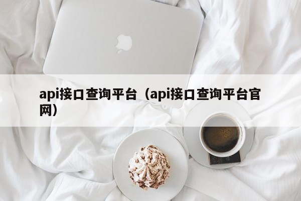 api接口查询平台（api接口查询平台官网）