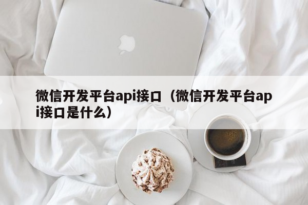 微信开发平台api接口（微信开发平台api接口是什么）