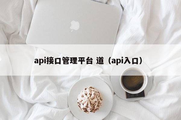 api接口管理平台 道（api入口）