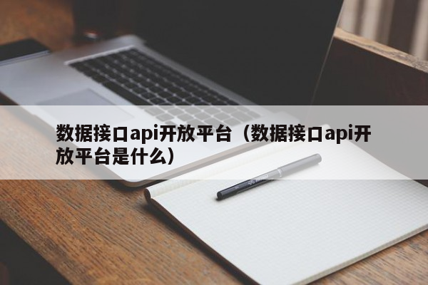 数据接口api开放平台（数据接口api开放平台是什么）