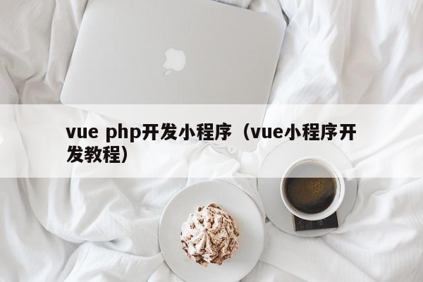 vue php开发小程序（vue小程序开发教程）