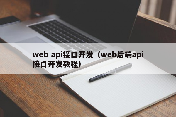 web api接口开发（web后端api接口开发教程）