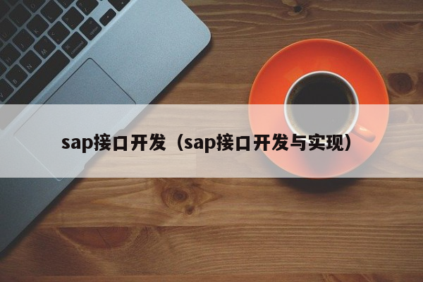 sap接口开发（sap接口开发与实现）