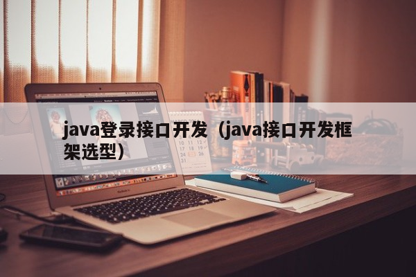 java登录接口开发（java接口开发框架选型）