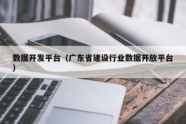 数据开发平台（广东省建设行业数据开放平台）