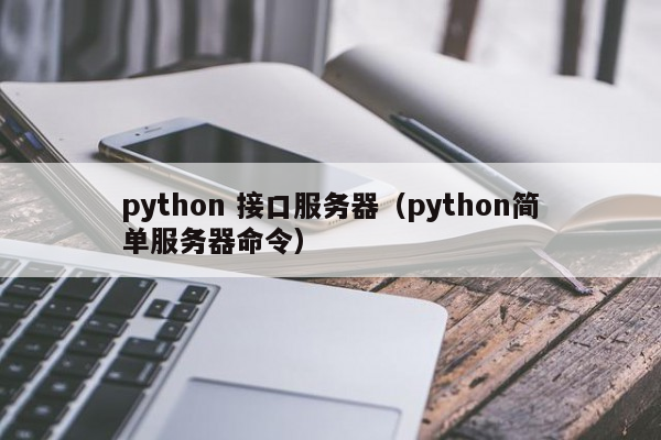 python 接口服务器（python简单服务器命令）