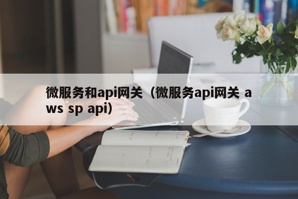 微服务和api网关（微服务api网关 aws sp api）