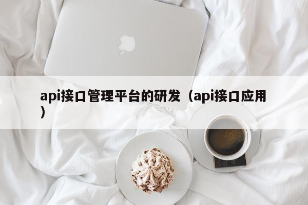 api接口管理平台的研发（api接口应用）