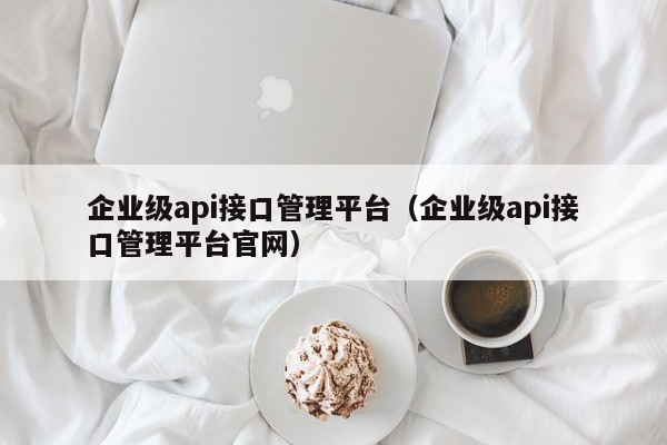 企业级api接口管理平台（企业级api接口管理平台官网）