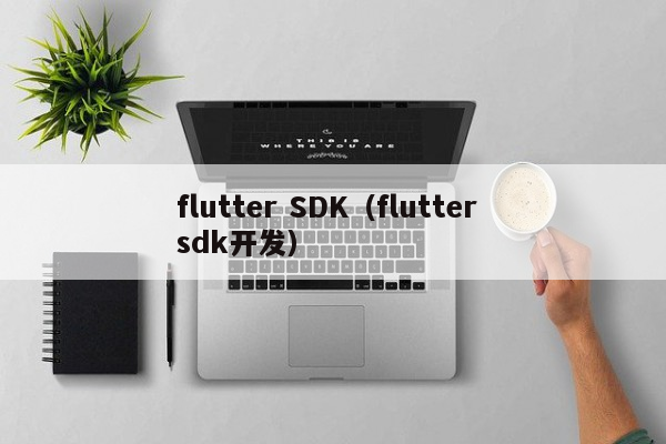 flutter SDK（flutter sdk开发）
