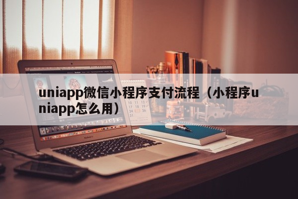 uniapp微信小程序支付流程（小程序uniapp怎么用）
