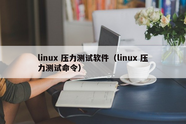 linux 压力测试软件（linux 压力测试命令）