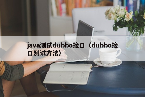 java测试dubbo接口（dubbo接口测试方法）