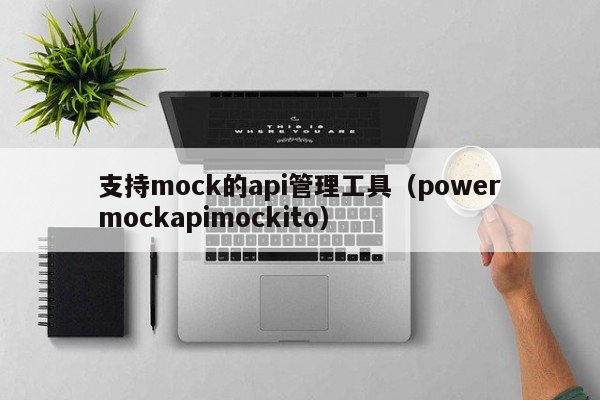 支持mock的api管理工具（powermockapimockito）