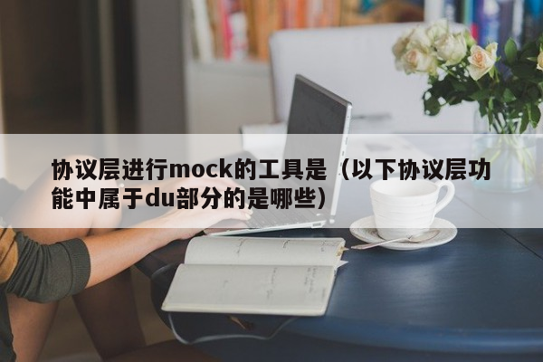 协议层进行mock的工具是（以下协议层功能中属于du部分的是哪些）