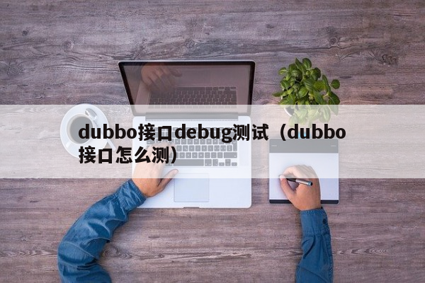 dubbo接口debug测试（dubbo接口怎么测）