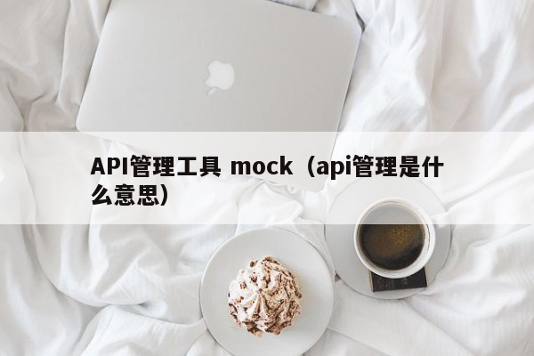 API管理工具 mock（api管理是什么意思）